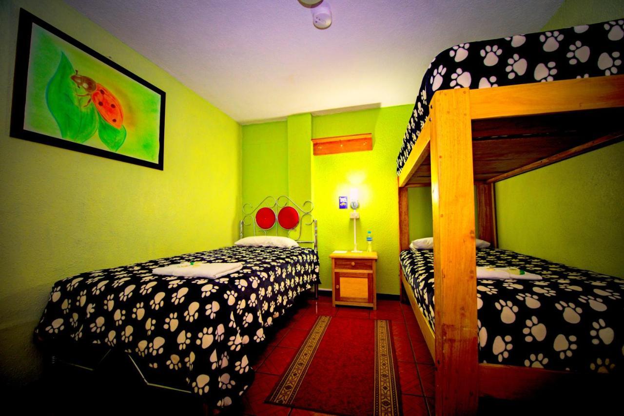 Mirador Oro Verde Quilotoa Zumbagua Eksteriør billede